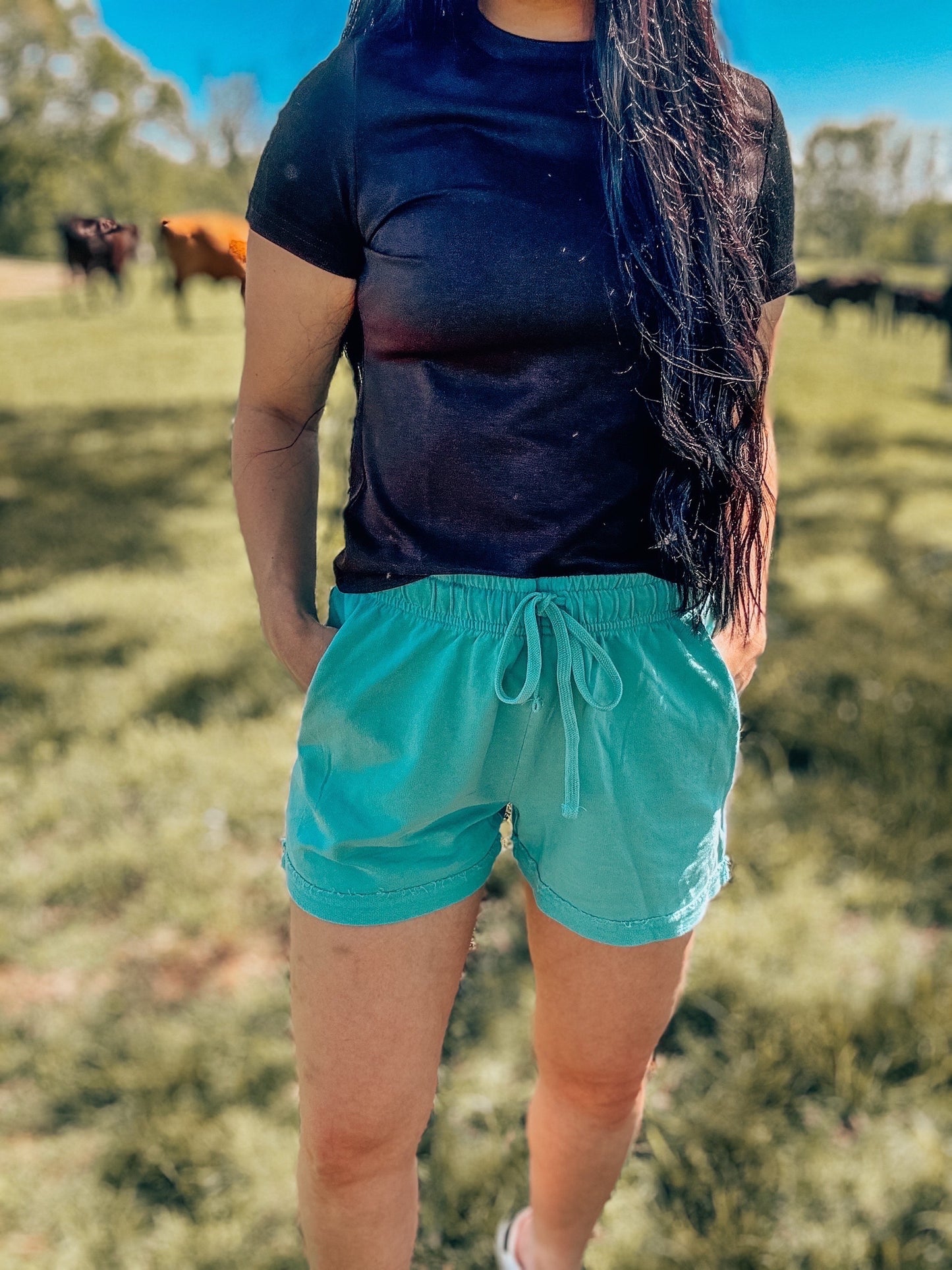 The Q Shorts